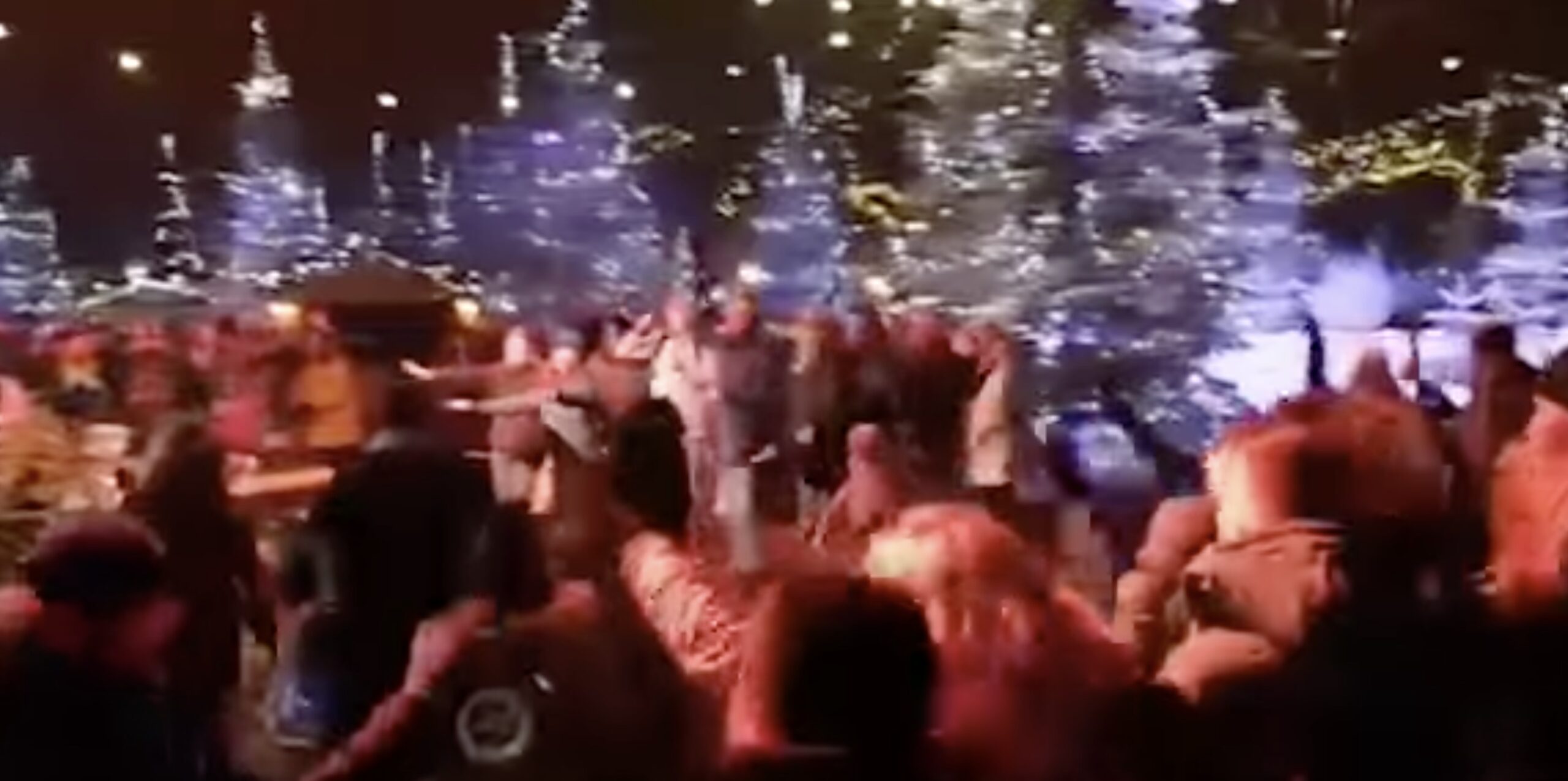 Feest Efteling coronamaatregelen