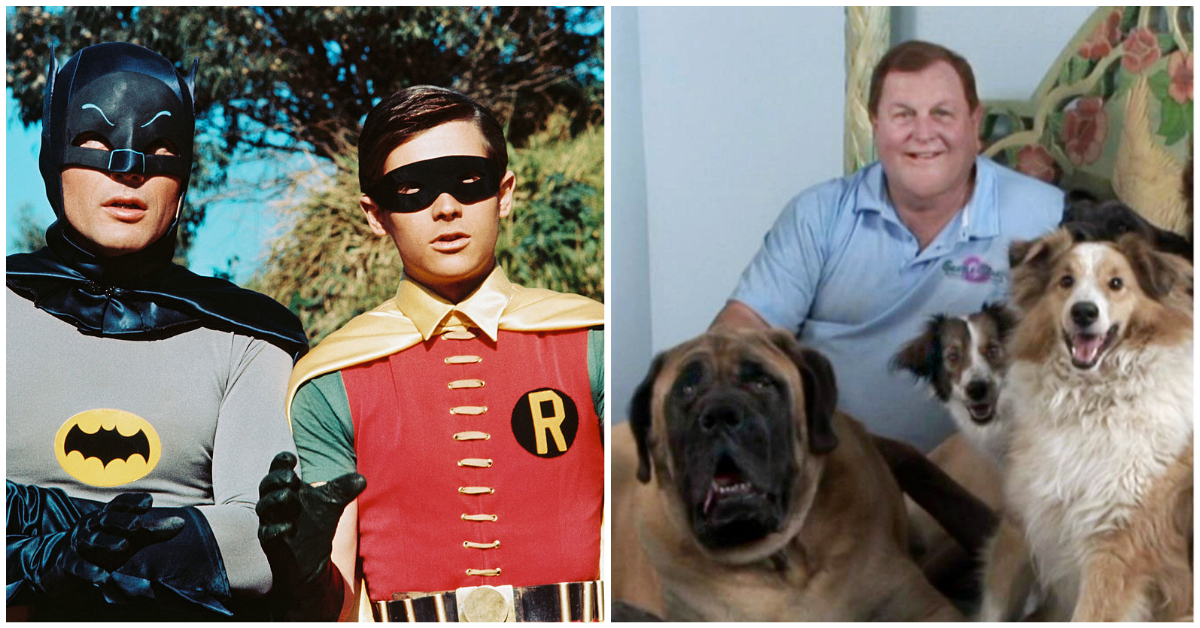 Burt Ward: van Robin naar redder van dieren