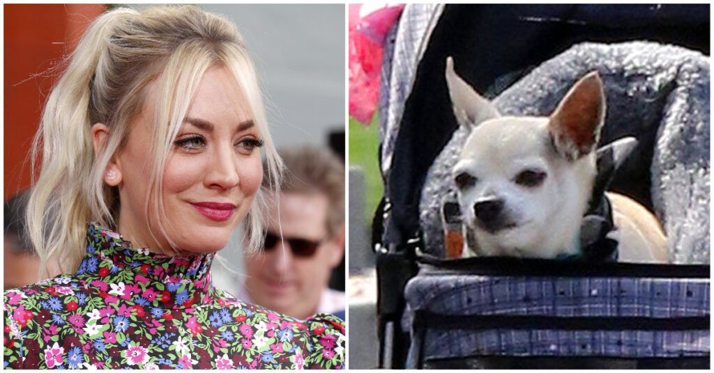 Kaley Cuoco rouwt om geliefde hond Dump Truck: Chihuahua steunde haar door 'zware momenten'