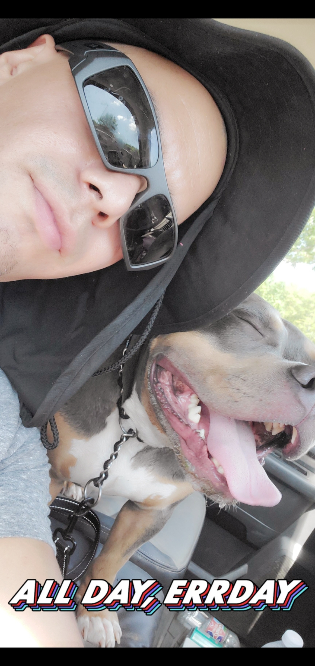 Man redt het leven van zijn hond met winst van GameStop aandelen