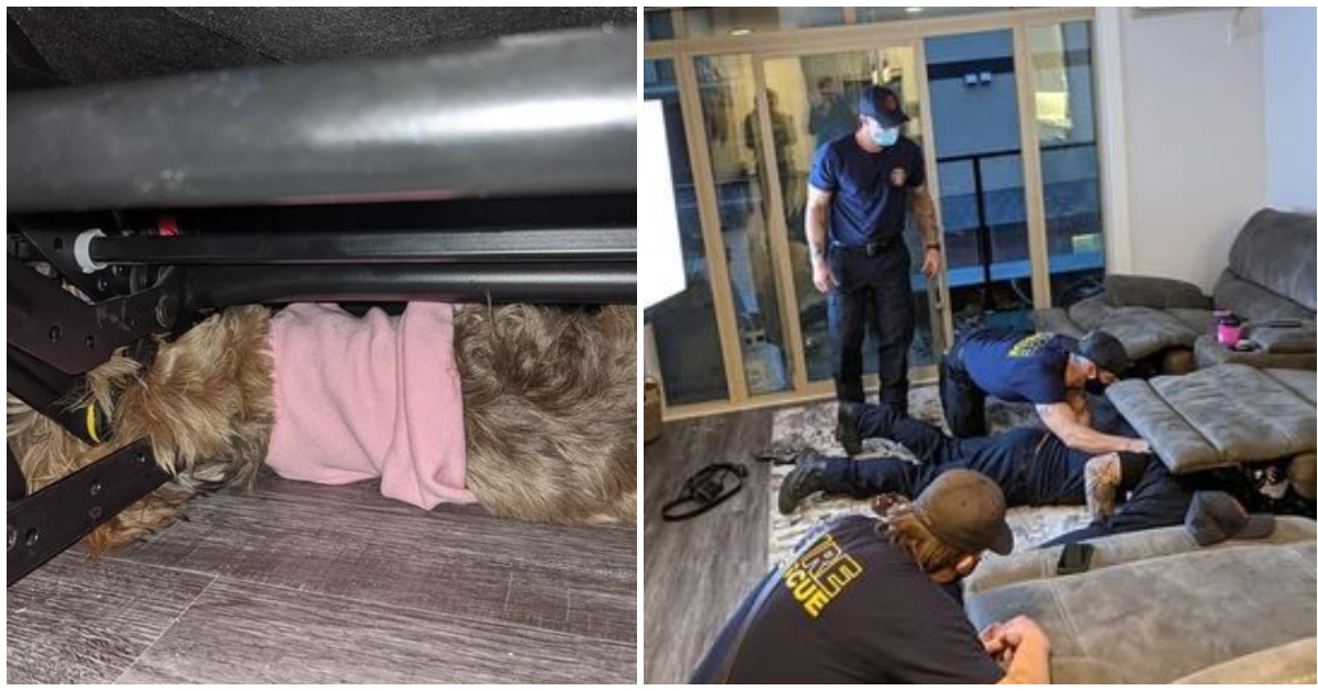 Brandweer redt hond uit bankende gevangenschap