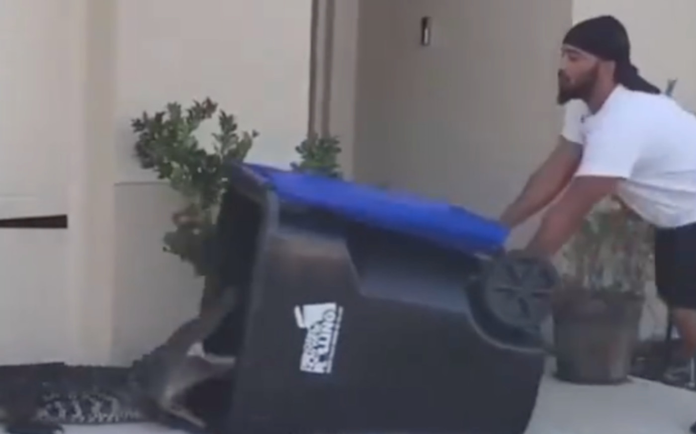 Mensen genieten van video van Florida man die alligator vastlegt in vuilnisbak | Complex