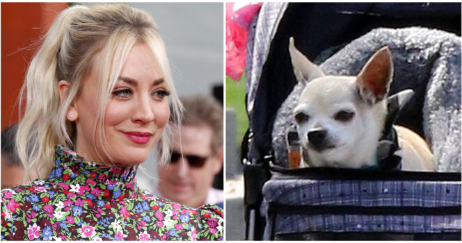 Kaley Cuoco rouwt om geliefde hond Dump Truck